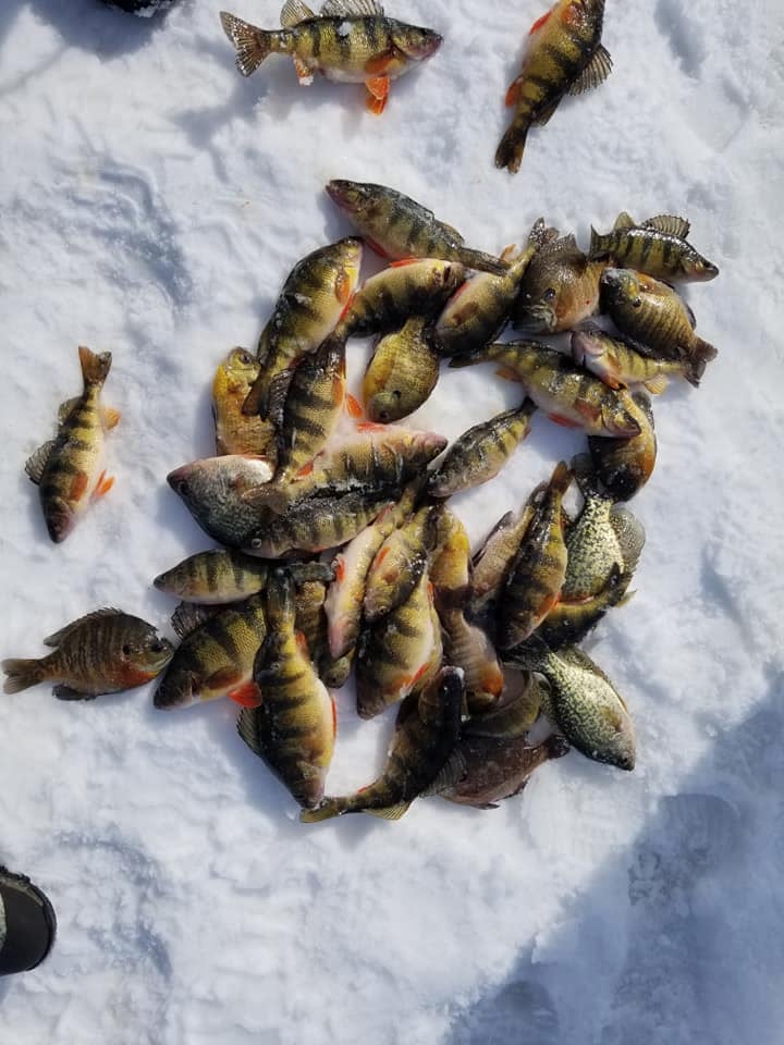 Three La Crosse Area Ice Fishing Hot Spots